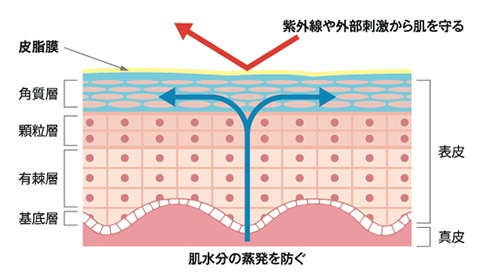 【KUMAMOTO】潤馬化粧養油情報サイト